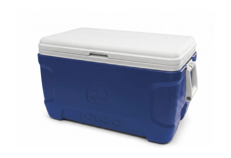 Cooler medio blu con coperchio bianco